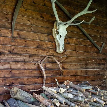 Blockhütte / Ferienhütte Ferienhaus *